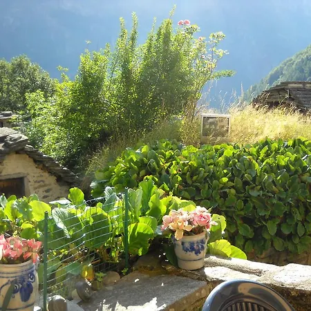 By Wild Bed and breakfast